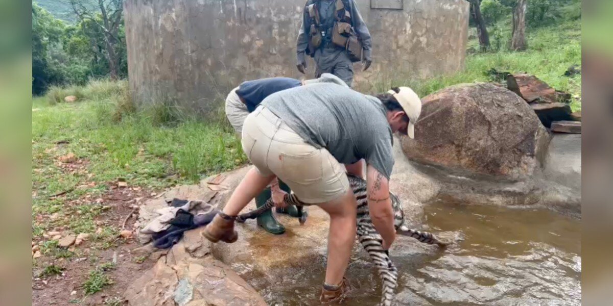 Ranger Discovers Newborn Wild Baby Fighting For His Life In A Dam - The ...