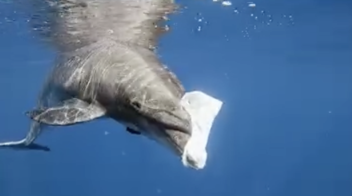 プラスチック問題