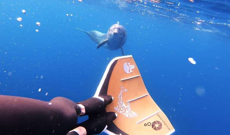 ジョニー・ボー