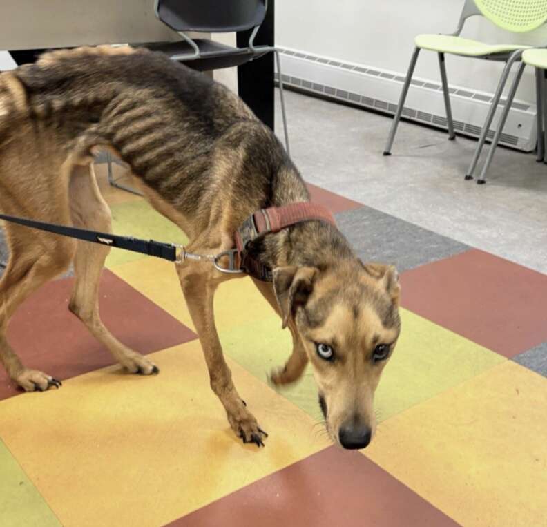 ジェレマイアの状態