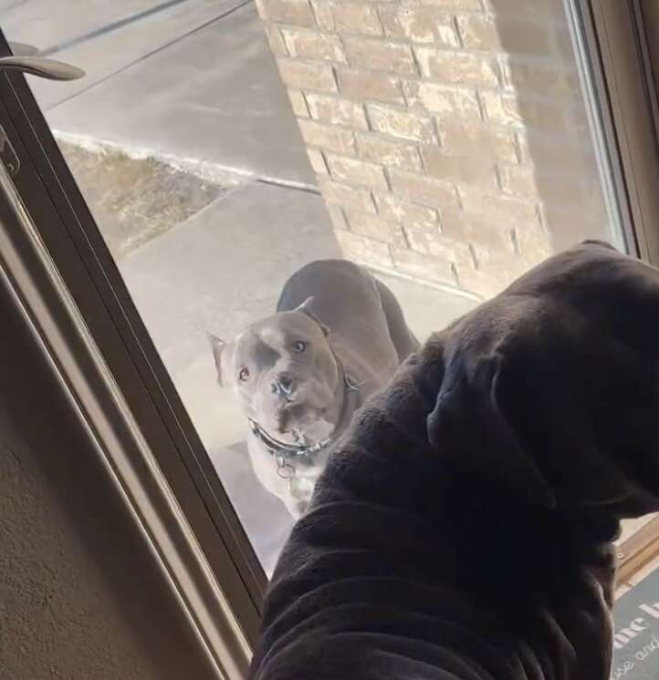 クライドが来た!