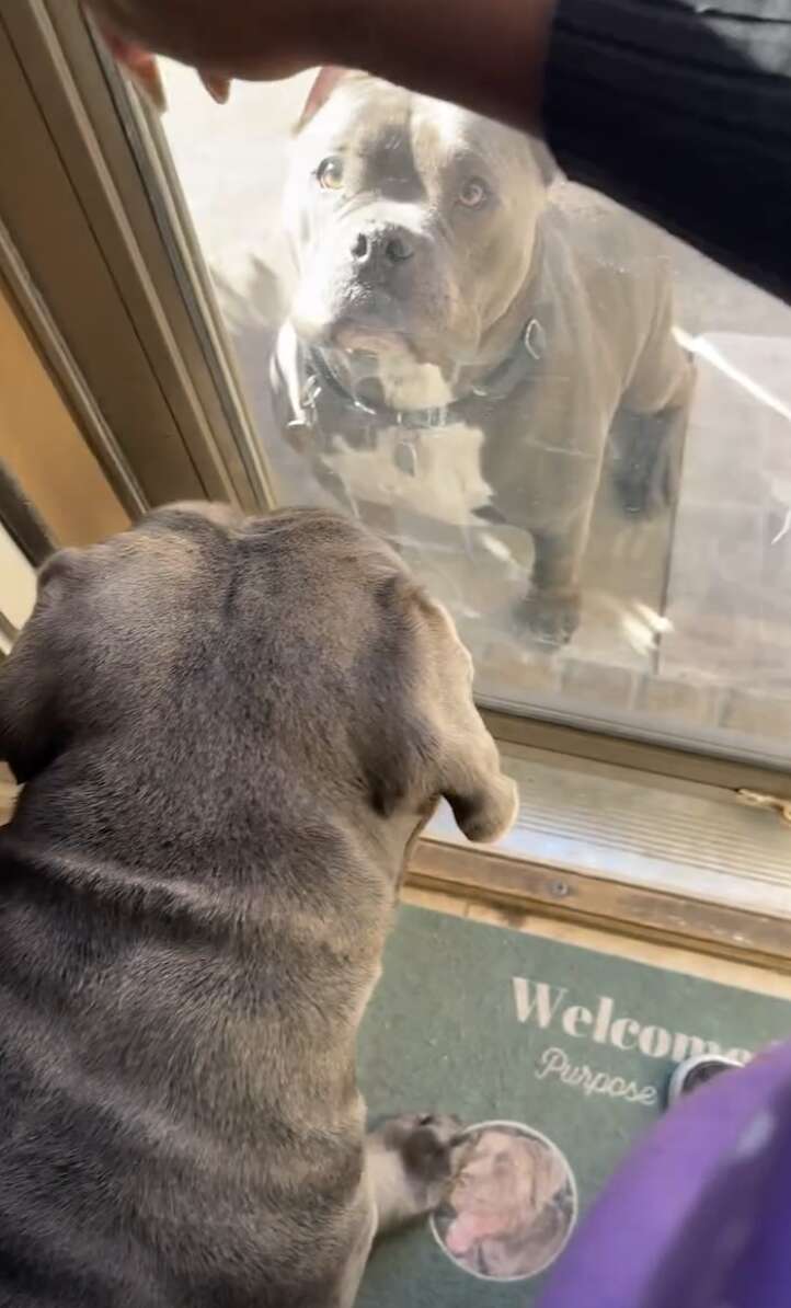 クライド待ち構える