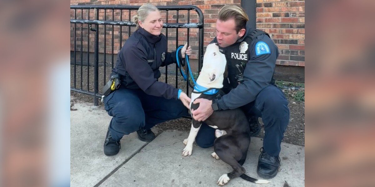 Dog Who Survived The Unthinkable Gives '1 Million' Kisses To Cops Who ...