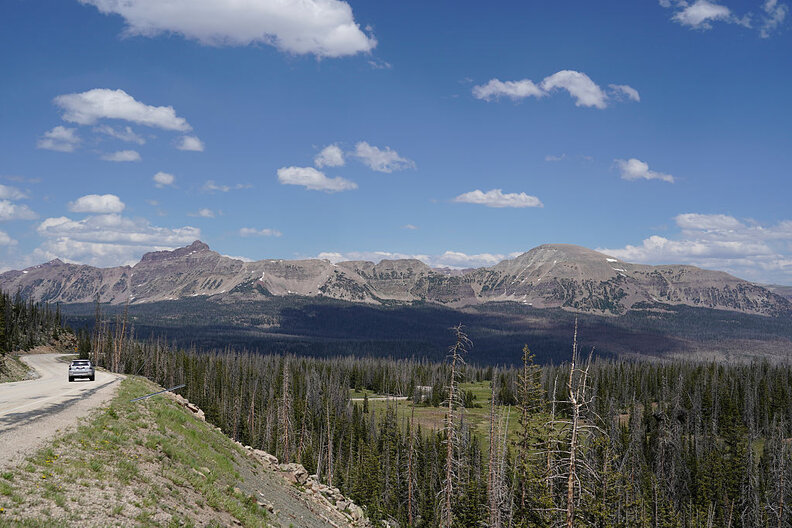 救助が行われる様子
