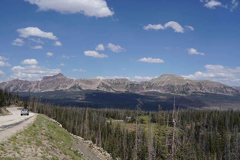 救助が行われる様子