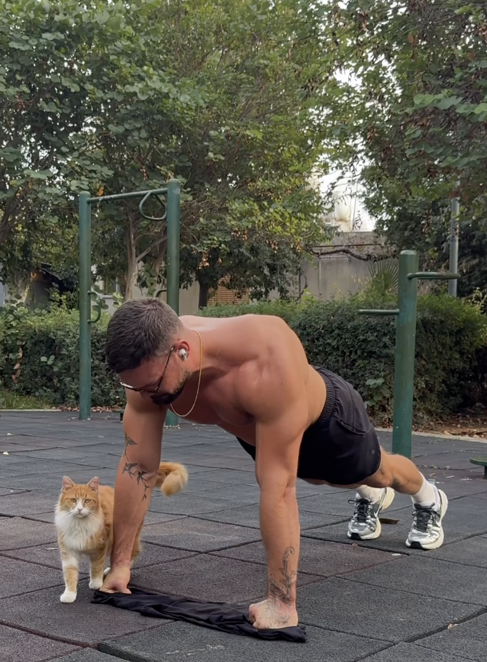 かわいい猫が隣にいる