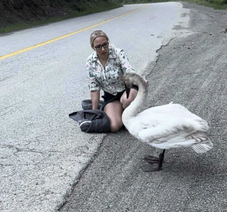 woman and swan in the road 