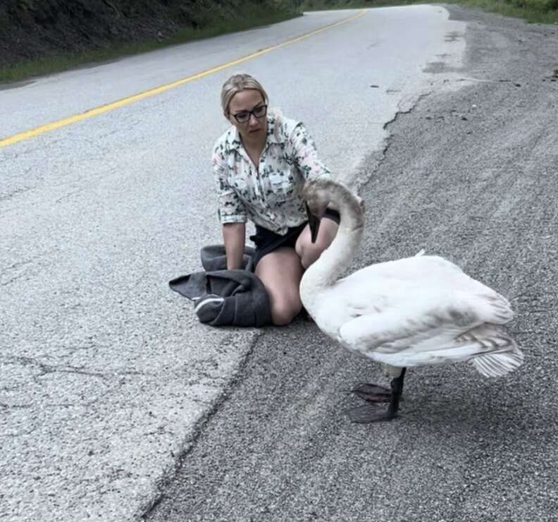 woman and swan in the road