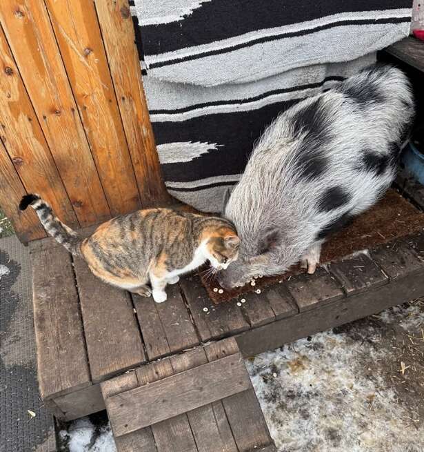 仲良くおやつを食べるジャードとゴルド