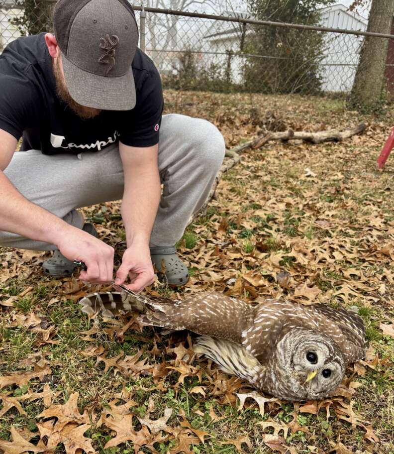 man helping rescue owl