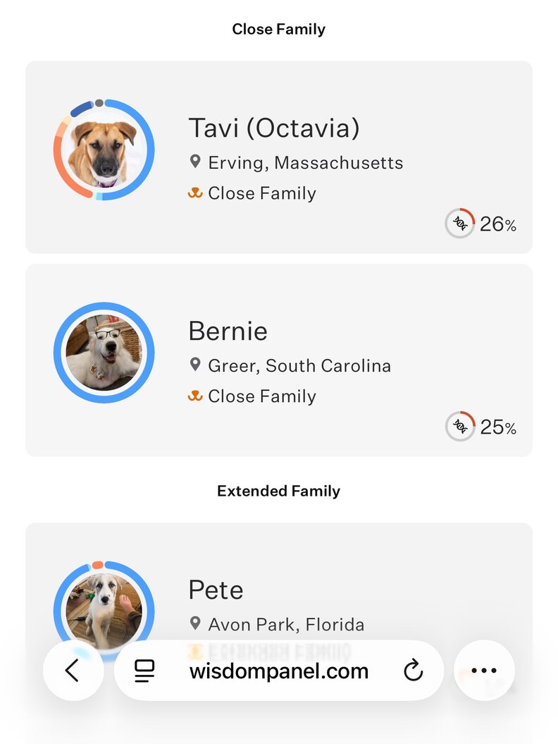 DNAテストによる兄弟の画像