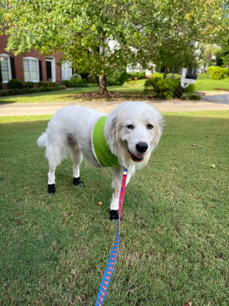 Bernieとジェナの写真