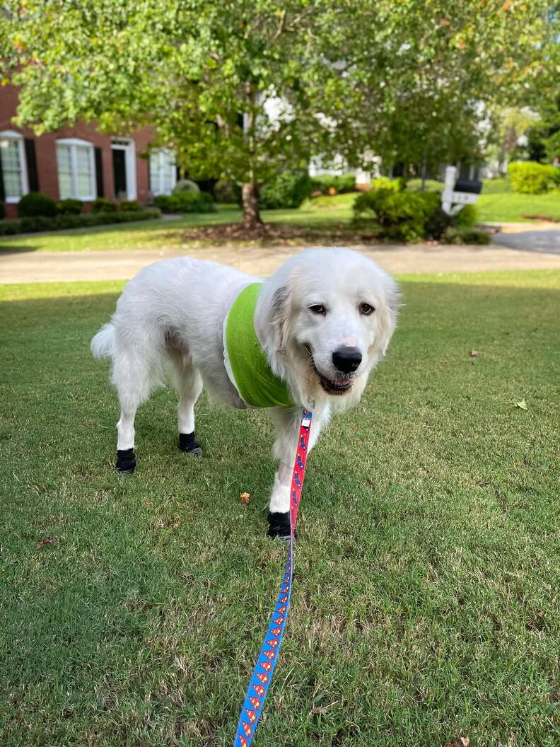 Bernieとジェナの写真