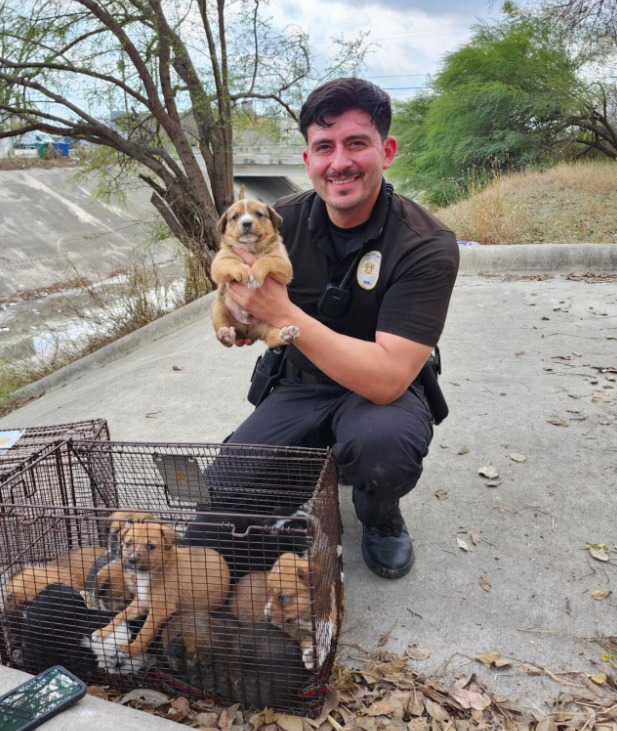 Animal control officer holding up a rescued puppy. 