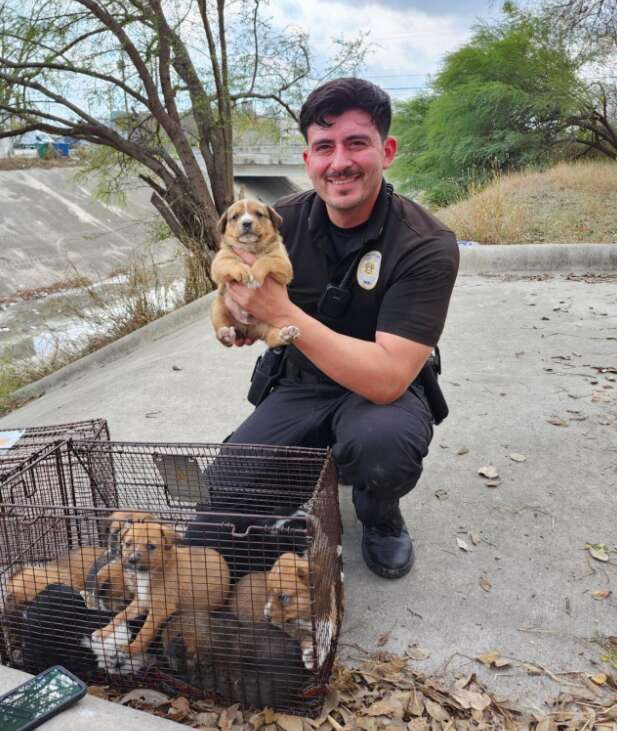 Animal control officer holding up a rescued puppy.