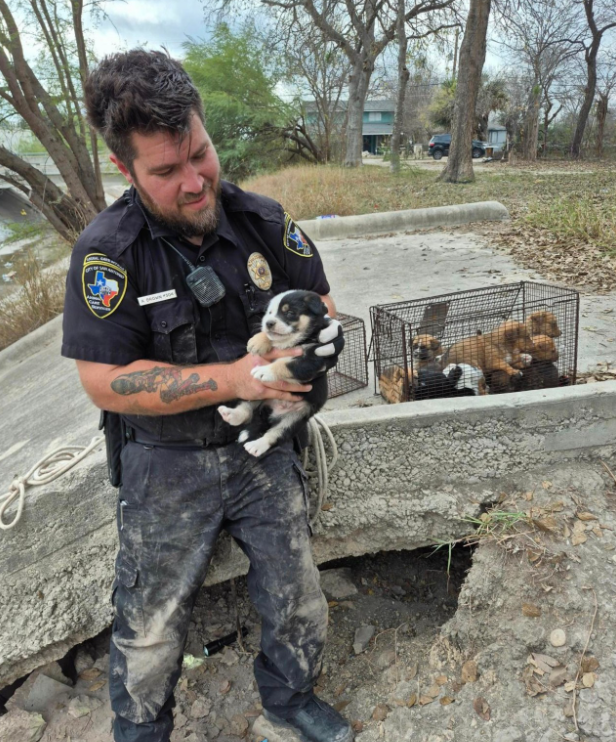Animal control officer holding up a puppy he just rescued.
