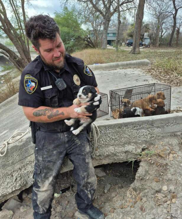 Animal control officer holding up a puppy he just rescued.