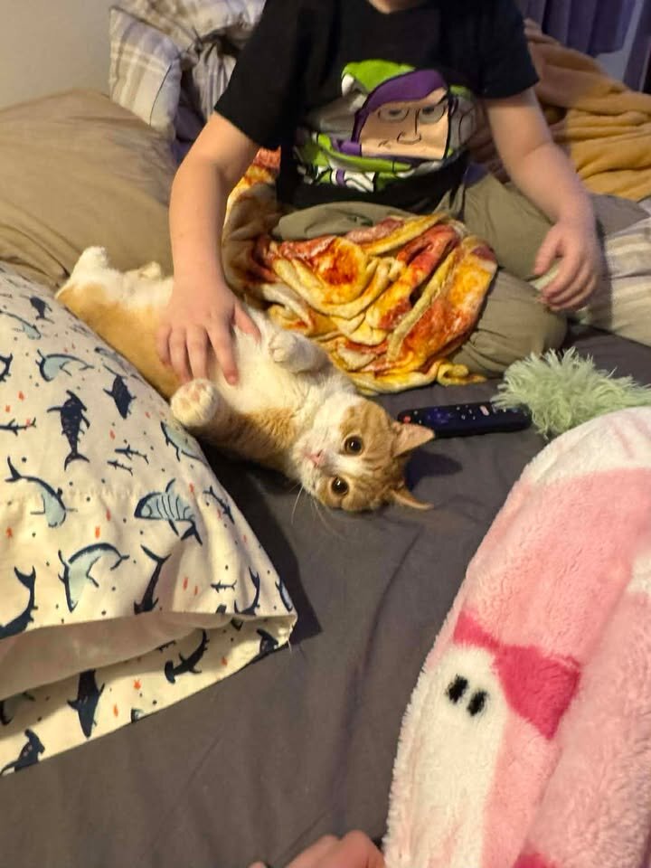 新しい家族とともに