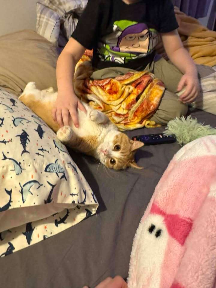 新しい家族とともに