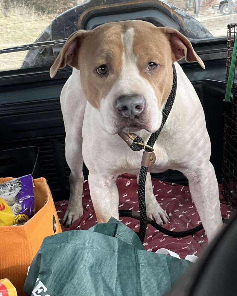 スノー・マゲドンが寝ている様子