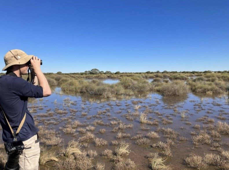 鳥を撮影するティム博士