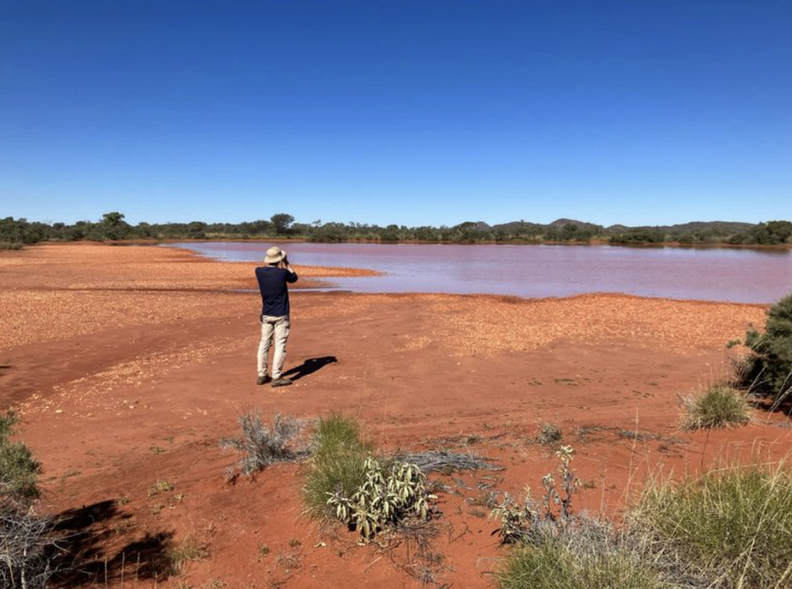 自然を撮影するティム博士