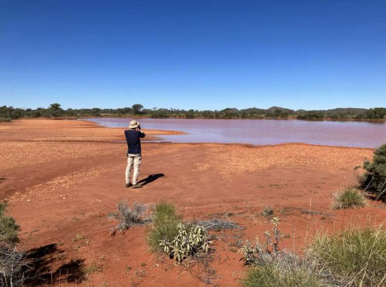 自然を撮影するティム博士