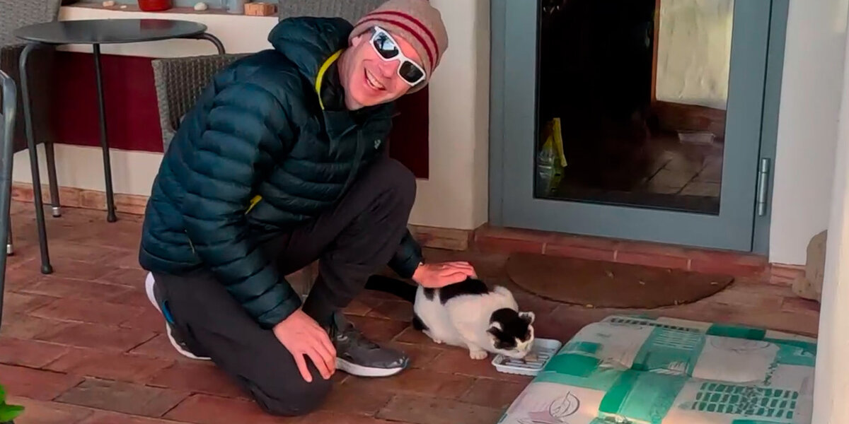 Couple Rescues Stray Cat On Vacation
