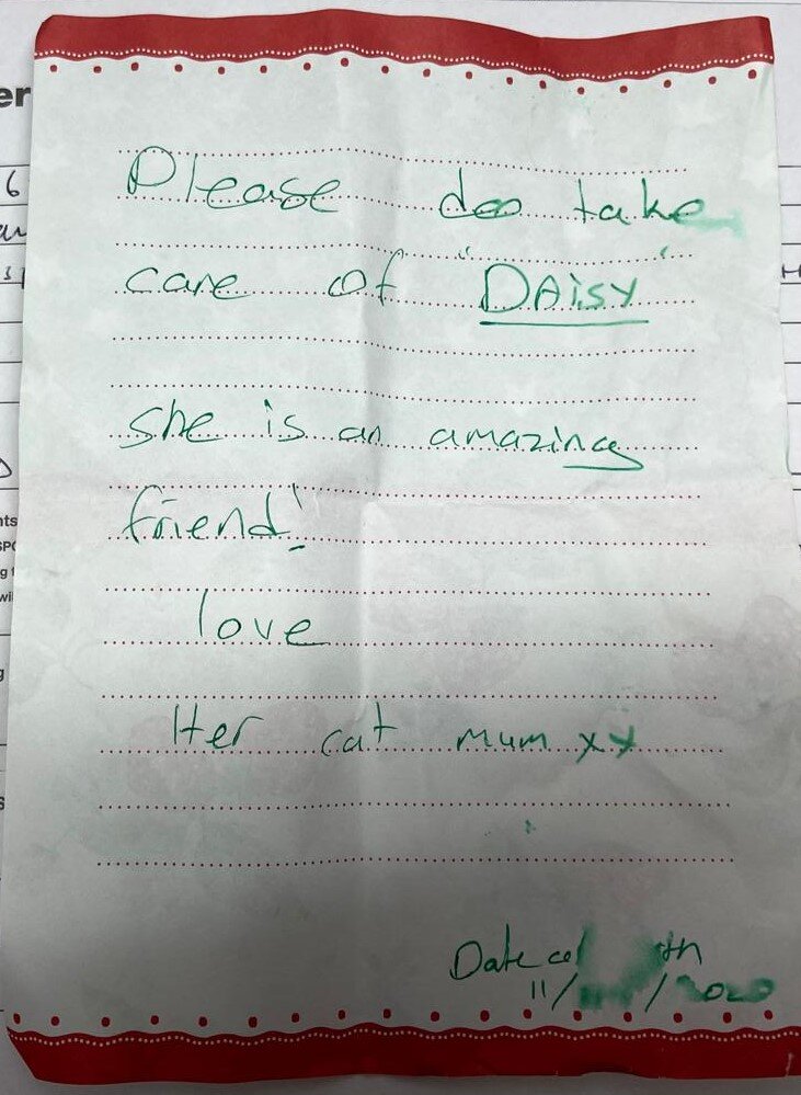 Tearstained Note Taped To Abandoned Pet Carrier Breaks Rescuers Hearts ...