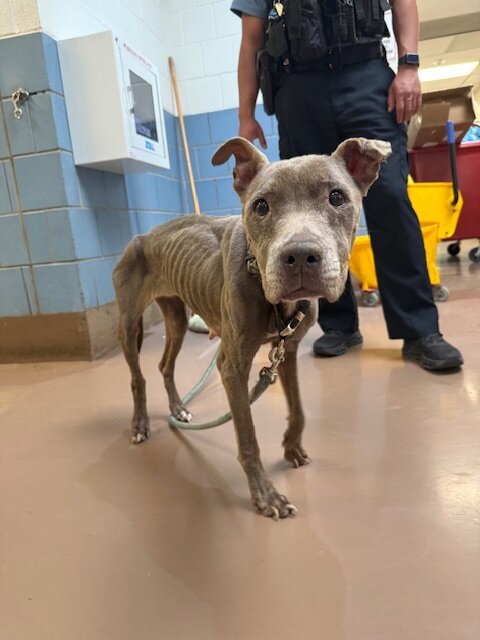 クロエの最初の姿