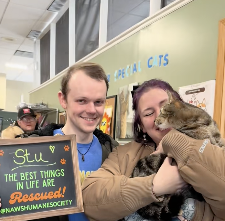 happy family with their new cat