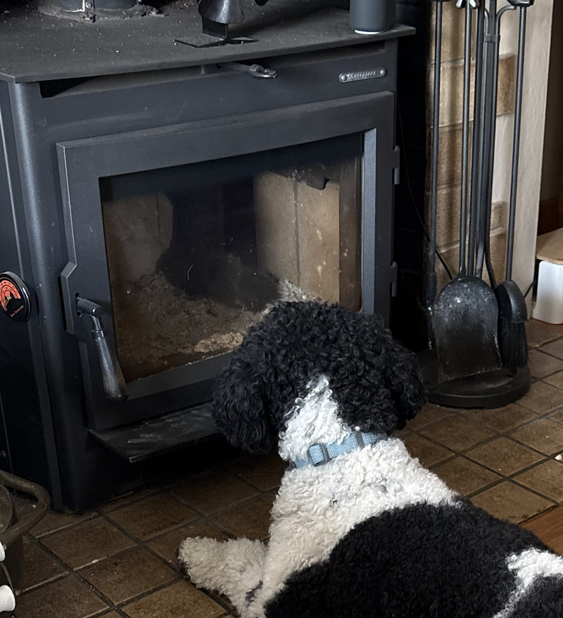 ビリーがストーブを見ている画像