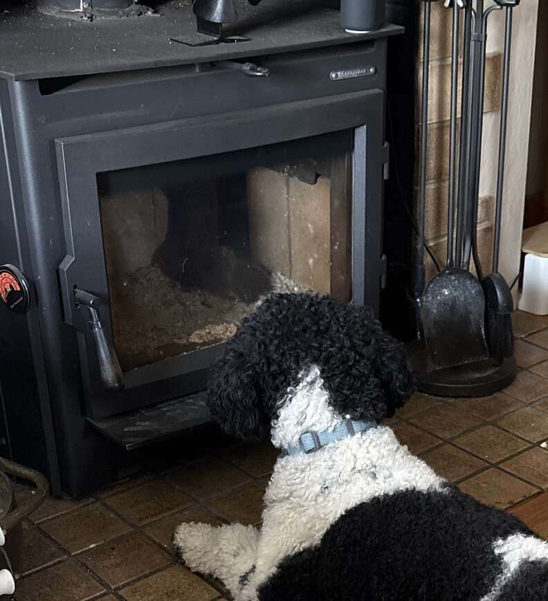 ビリーがストーブを見ている画像