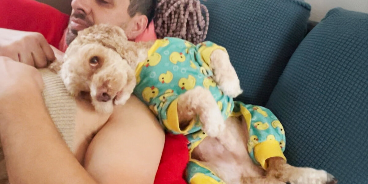 Dog Who Survived House Fire Finds Perfect New Family - Videos - The Dodo