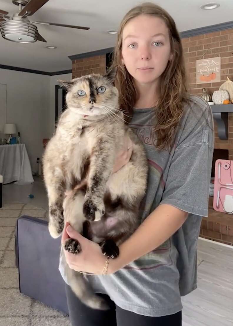 チェスターベルを抱く女性