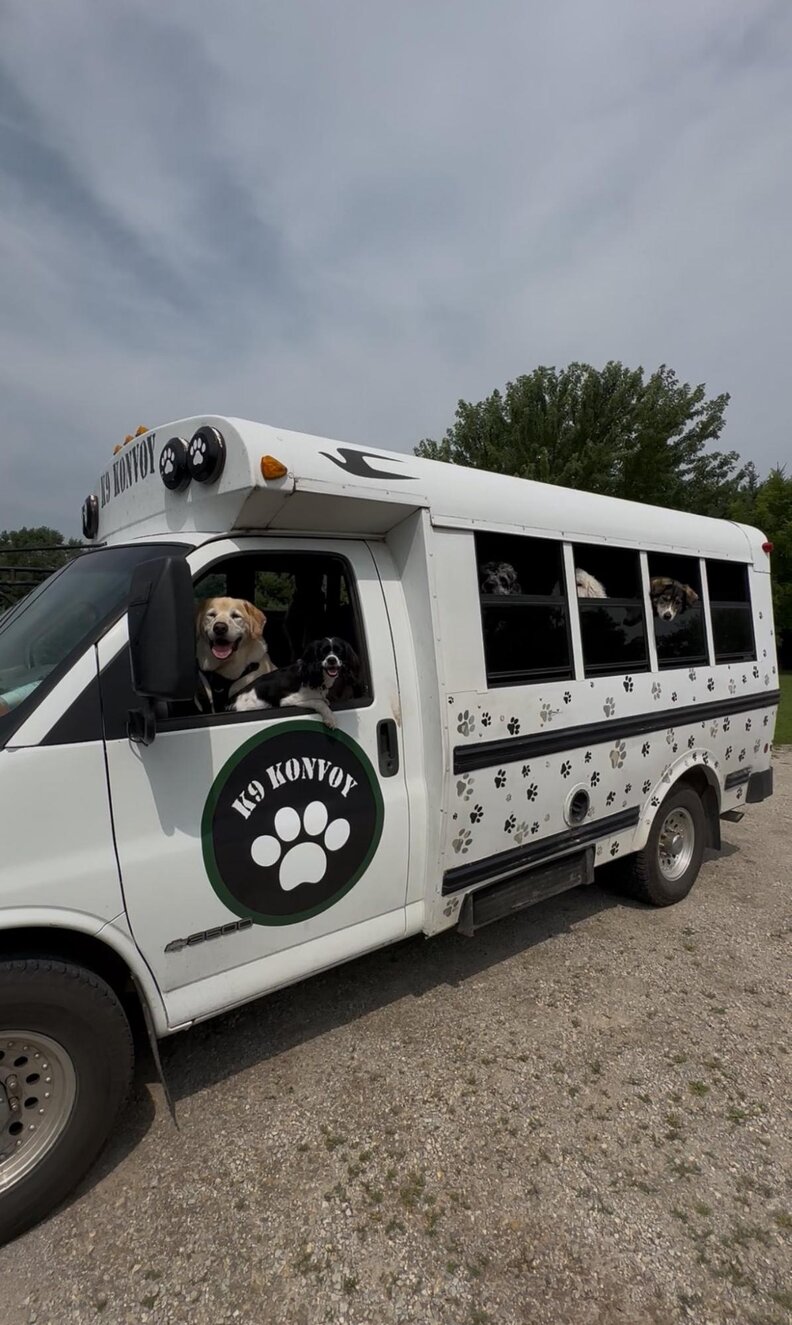 Bus Full Of Dogs Pulls Off An 'Impossible' Photo To Celebrate