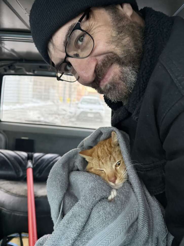 Rescuer approaches frozen cat
