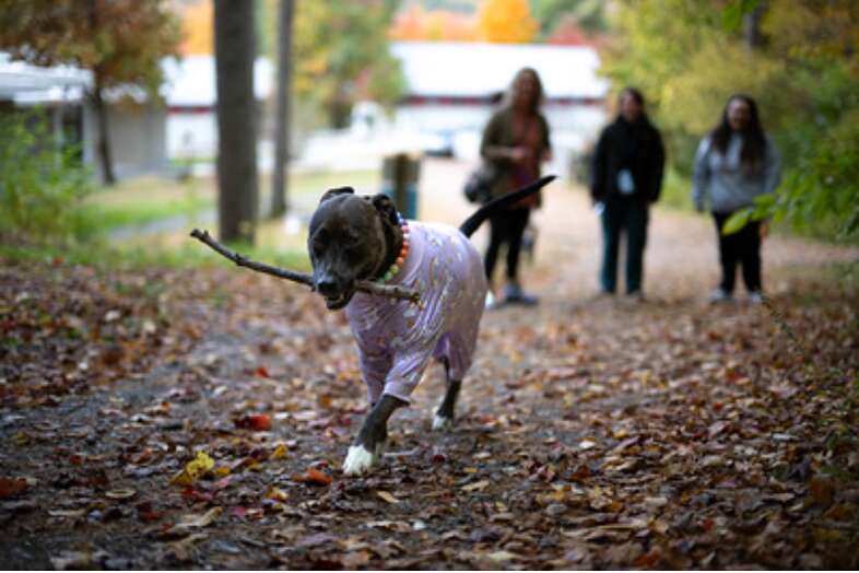ハイキングの風景