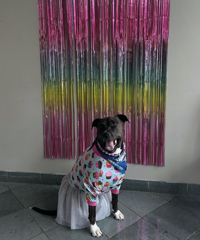 誕生日パーティの様子