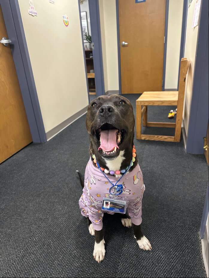 リラックスするアシュビー