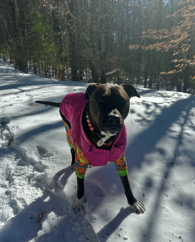 アシュビーとの交流
