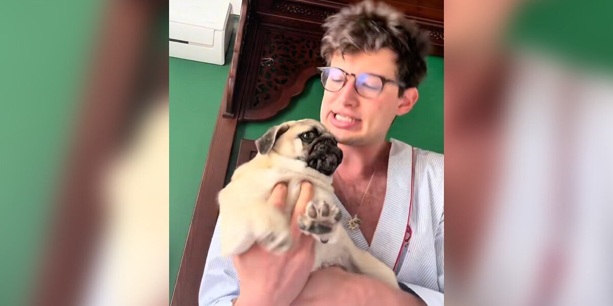 Man Stuck in Cairo with Puppy After Flight Cancellation—and He’s Loving It!