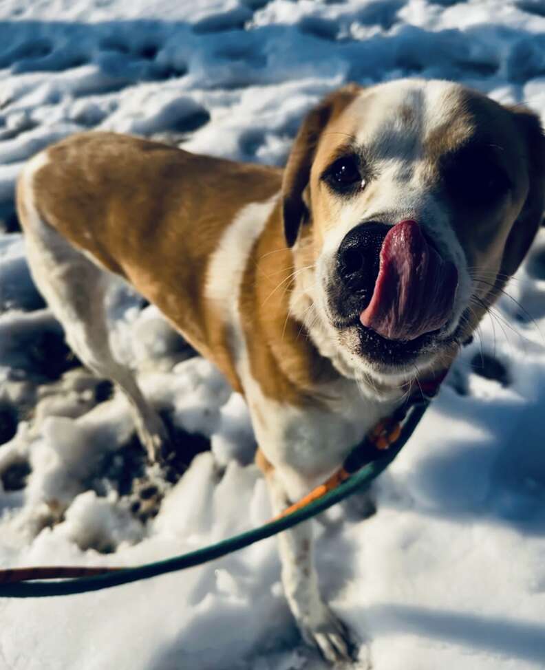 外で雪を楽しむフィン