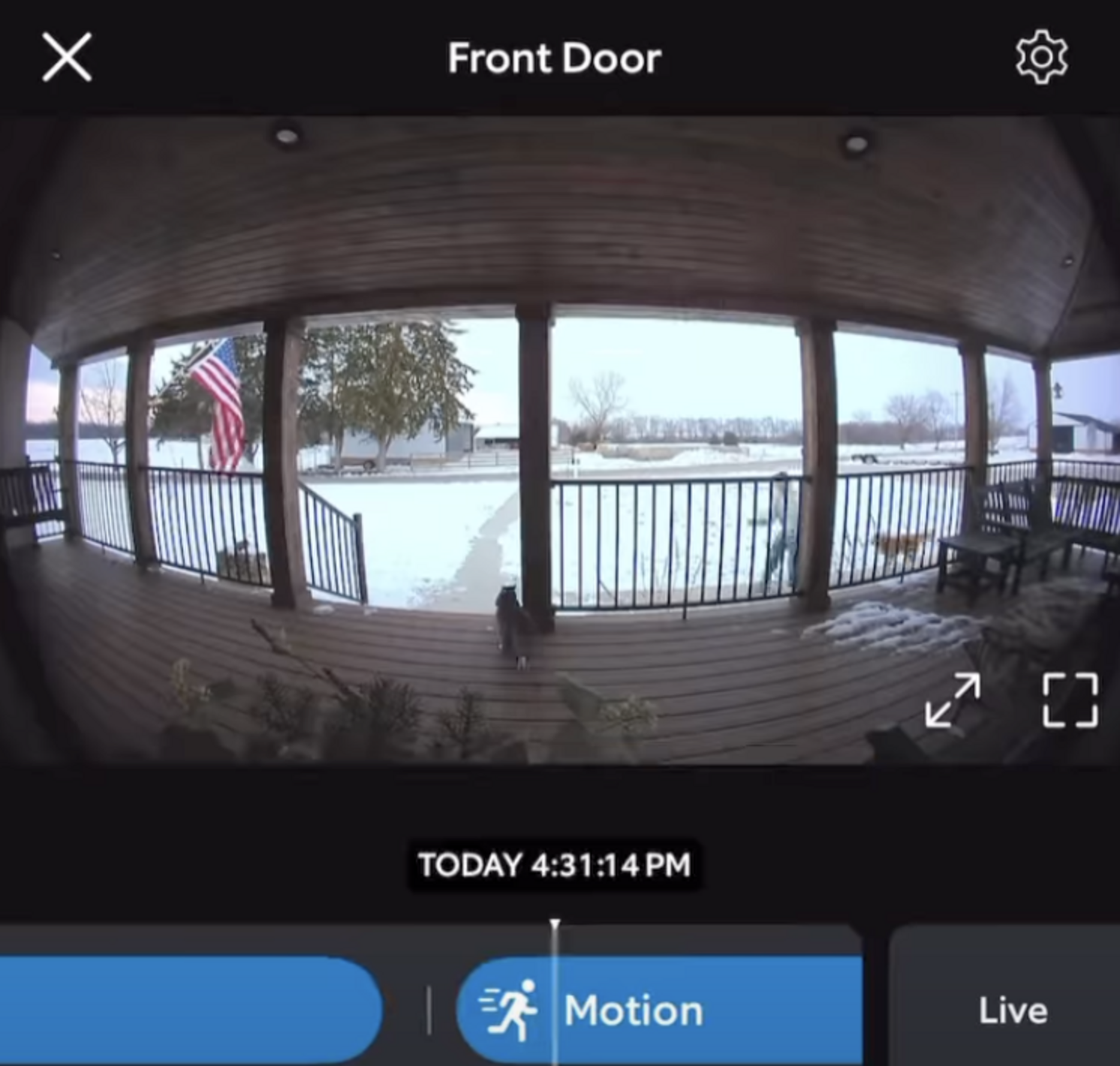 Doorbell Camera Records The Sweet Moment Lost Cat Comes Home After 6 ...