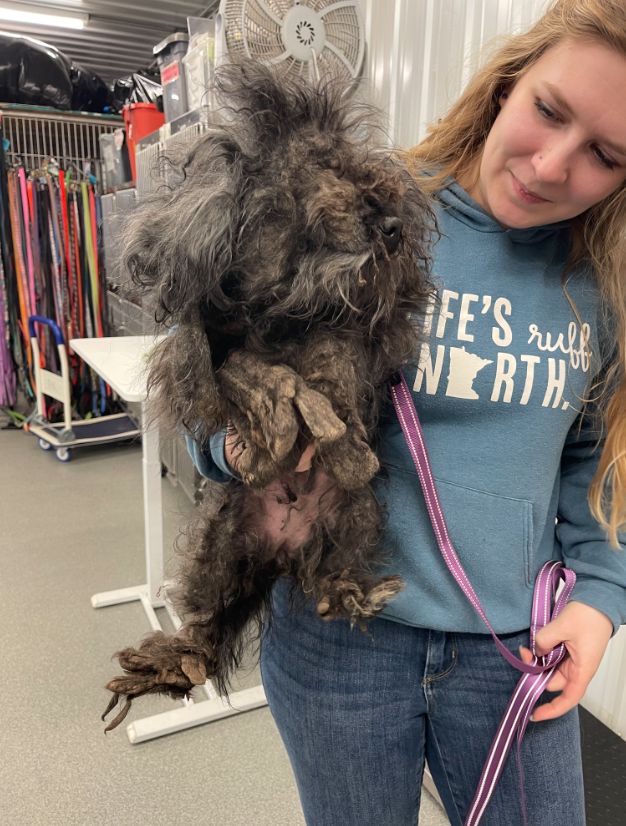 A shelter worker holds a matted rescue dog in her arms.