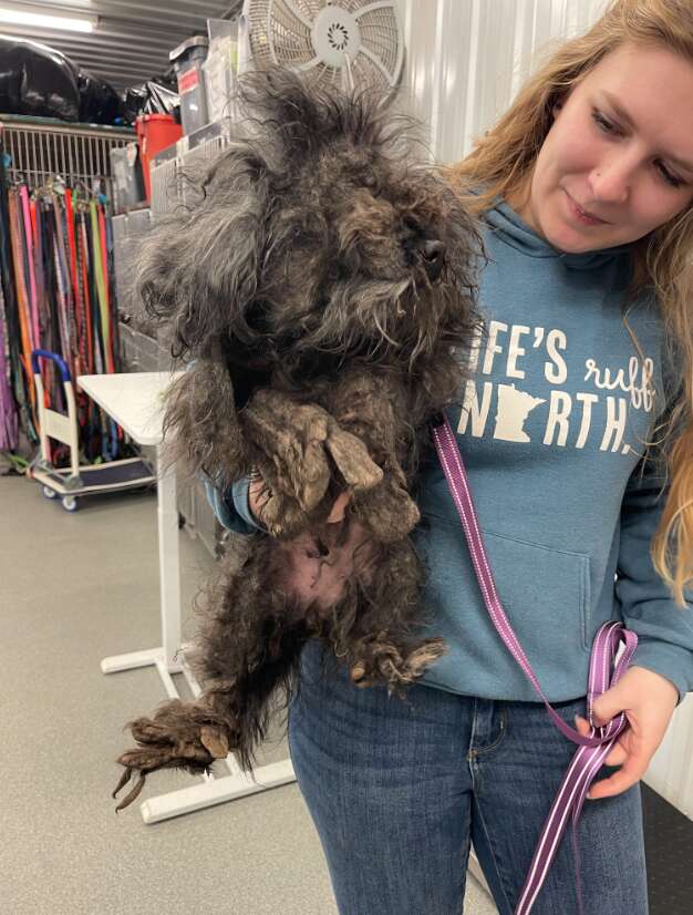 A shelter worker holds a matted rescue dog in her arms.