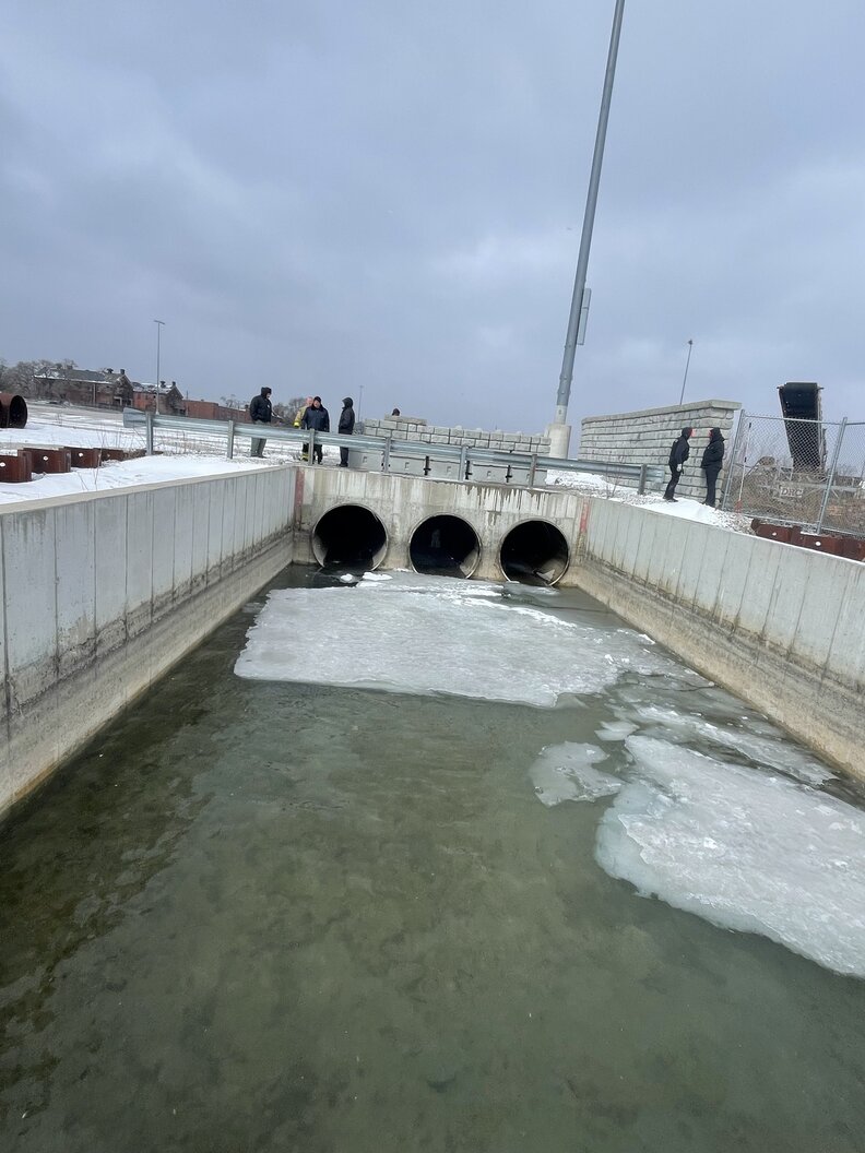 氷の中にいる犬
