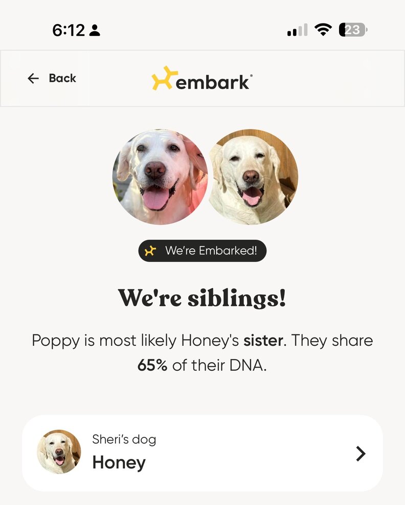 Photo of dog dna results