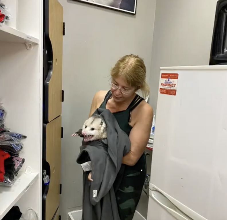 ブランケットでオポッサムを抱えている様子