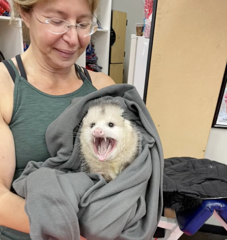 オポッサムを持ってみんなと一緒の様子